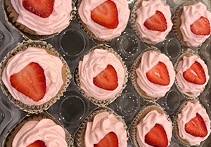 One Cupcake